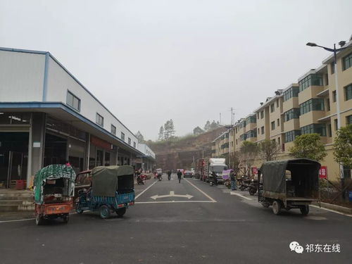 祁東縣大型活禽水產(chǎn)綜合批發(fā)市場 位置、功能與區(qū)域商貿(mào)新格局